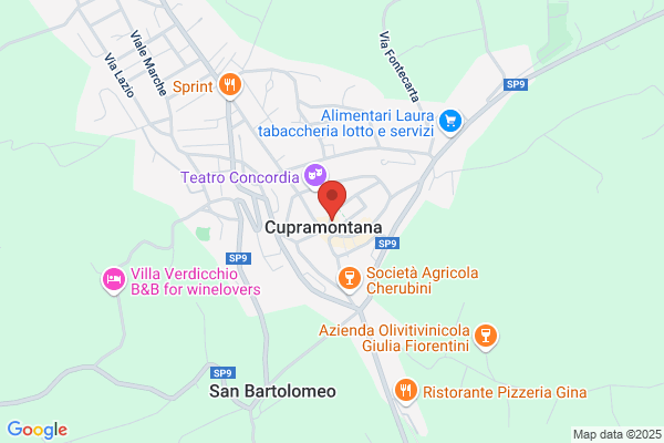 Partito Comunista Italiano