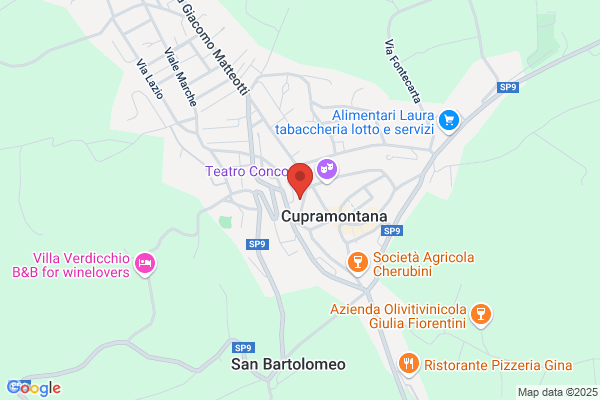 Sassaroli domenico