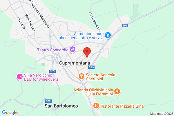 Suore Francescane Del C.I.M.