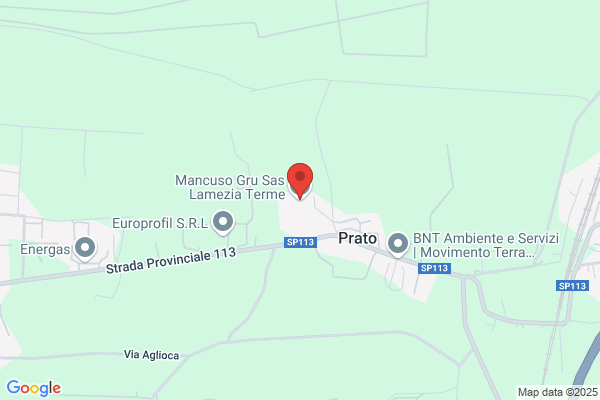 Mancuso Gru Sas