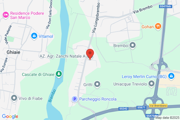 Zanchi natale Antonio