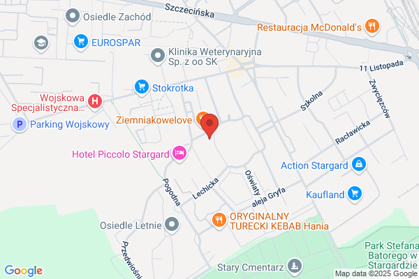 Stylbus