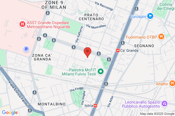 ibis Milano Ca Granda