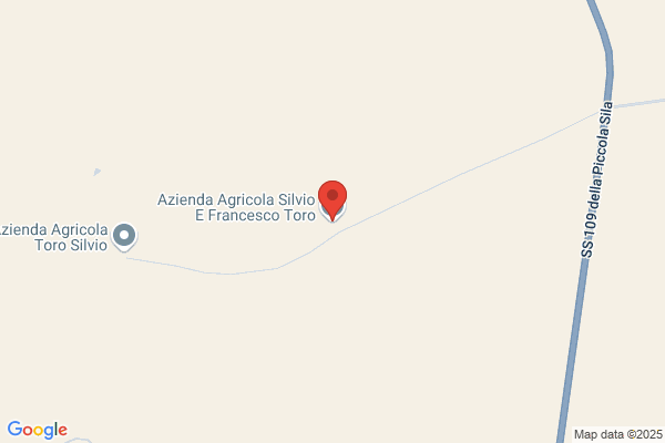 Voce francesco