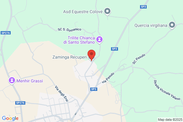 Zaminga Recuperi