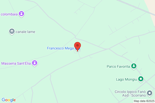 Francesco Mega