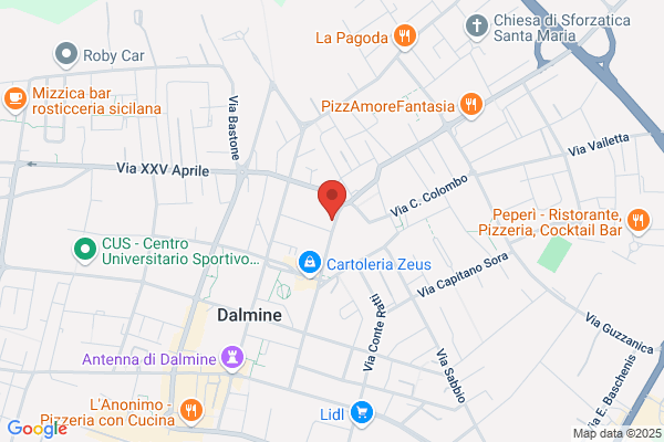 Pizzeria Degli Amici & C. (S.N.C.)