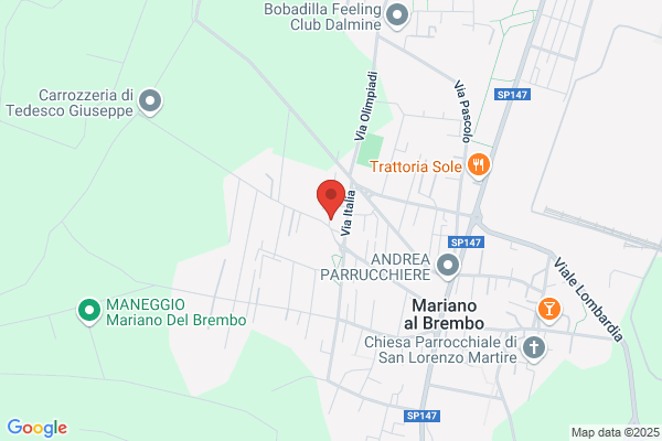 Ristorante Pizzeria Orchidea
