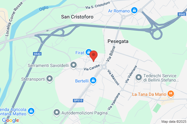 Trasporti & Traslochi Dei F.Lli Nostrani (S.N.C.)