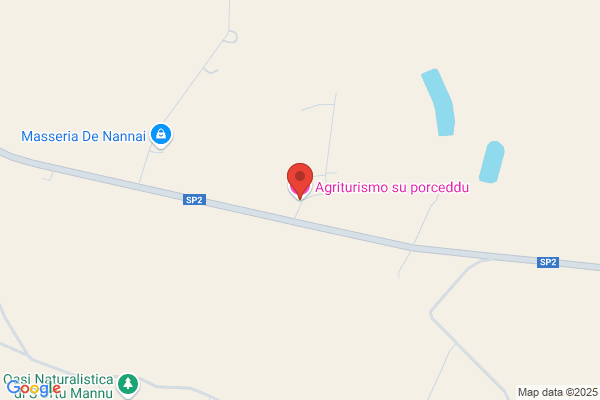 Porceddu maria Ausilia
