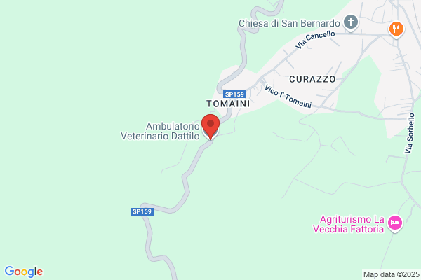 Ambulatorio Veterinario Dattilo