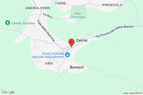 Rizzuto angela