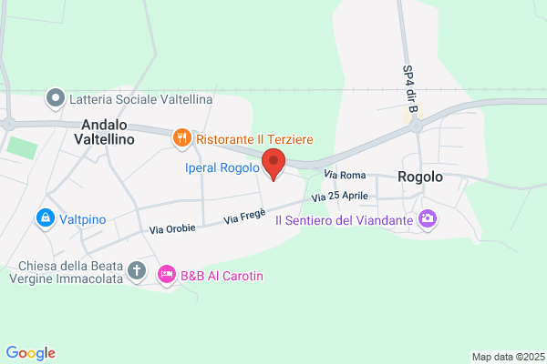 Action Rogolo