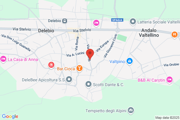 Delloca Plinio