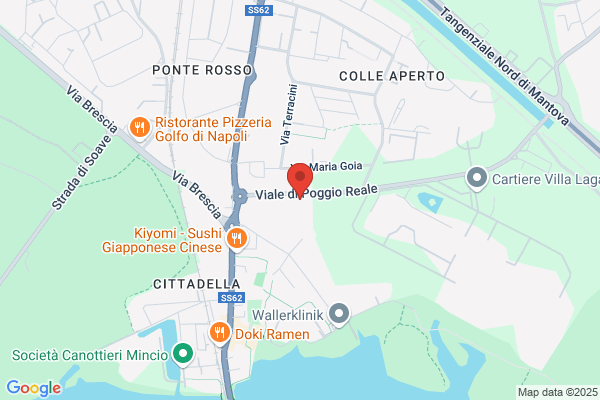 Lonni E Mantova (S.N.C.)