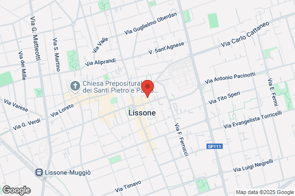 Amplifon Via Giuseppe Maggiolini, Lissone