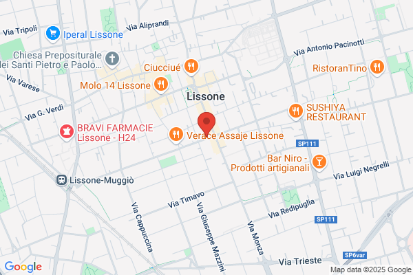 Infortunistica Italiana  Brianza