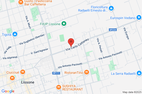 Fabbro Lissone - Cosco Service