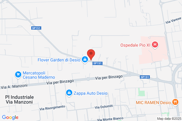 Ristorante Pizzeria Papillon Snc