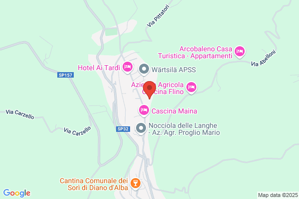 Reggio domenico