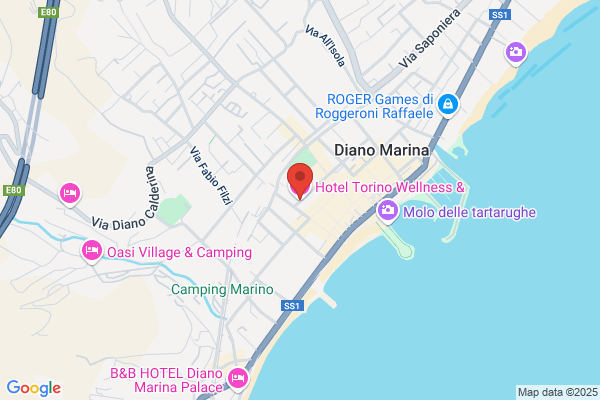 Hotel Torino Wellness & Spa