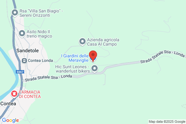 I Giardini delle Meraviglie - Specialisti in Abbattimento Alberi Alto Fusto