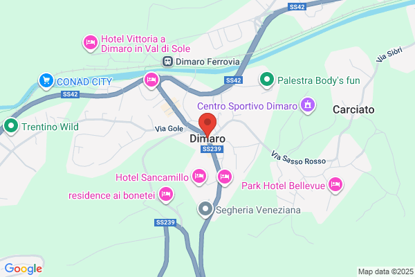 Dolomiti Servizi e Gestioni