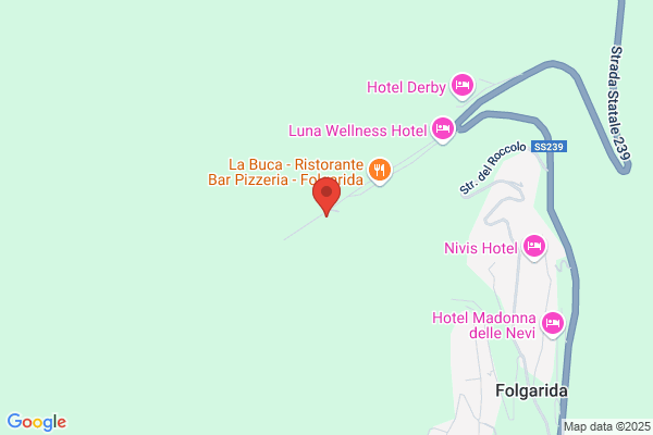 Hotel Selva
