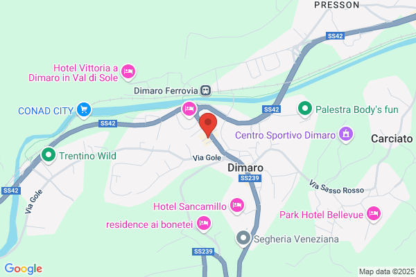 Ptp Albergo Dimaro 20 (Or.:est.7-21.Inv.8-)