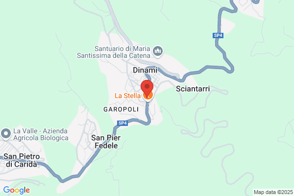 Pugliese gianfranco
