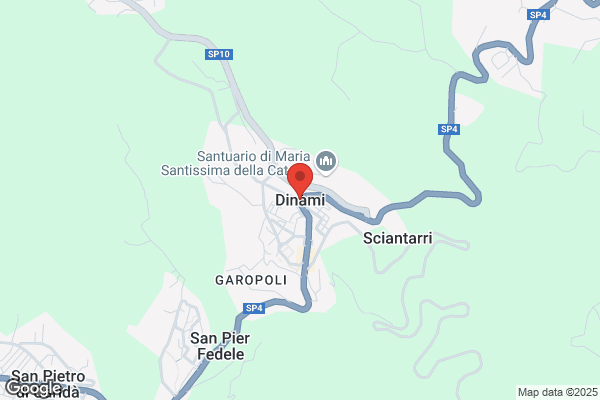 Sarlo Dr. Rosina