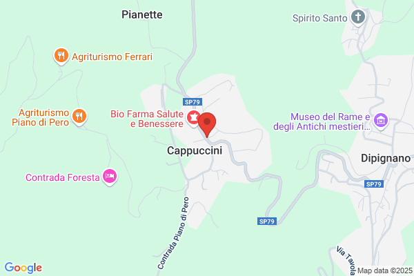 Niosi vincenzo