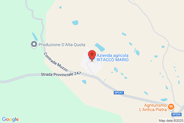 Ritacco mario