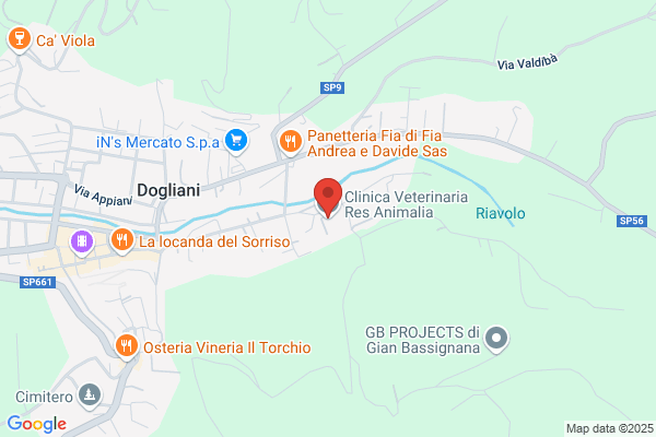 Clinica Veterinaria Res Animalia