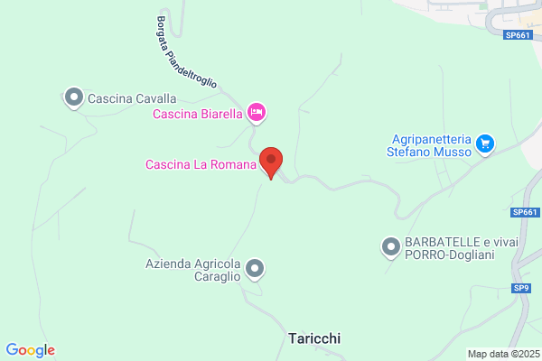 La Cucina Delle Langhe Di Cavarero Fabrizio