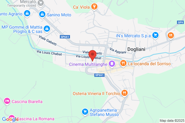 Muratore celsa (Dr.)