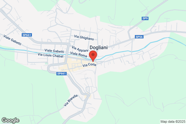 Optical Doglianese