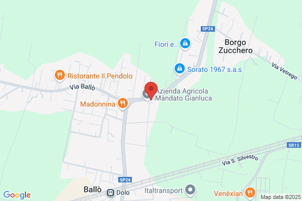 Mandato Fratelli