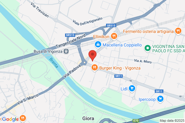 Malerba gianni