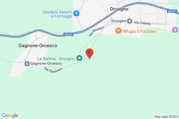 Mittag federico Enzo