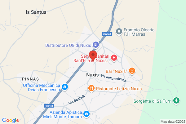 Dott.ssa Carla Elisa NASEDDU