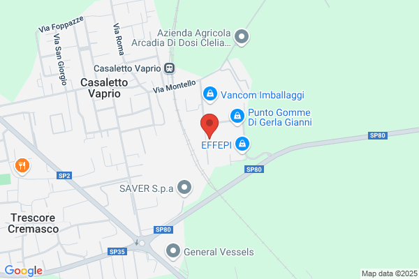 L.E.M. Dei Fratelli Savio (S.N.C.)
