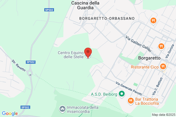 Equitando Di Paola Guerisoli
