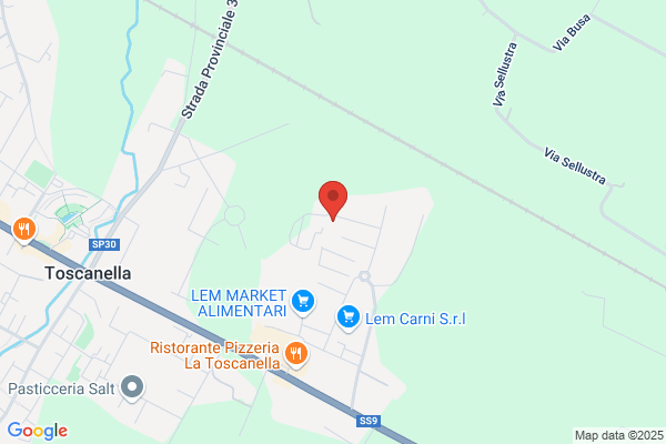 M.S.G. Montaggio Assistenza Gru
