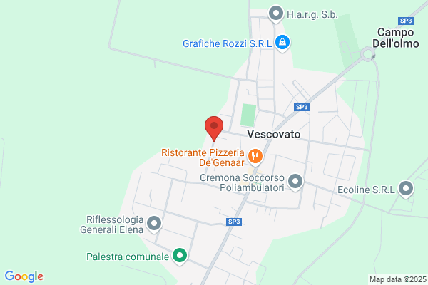 Guerreschi Vinicio