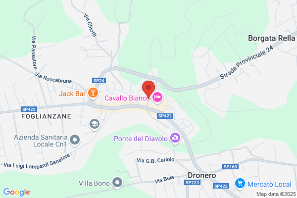 Torreri silvia