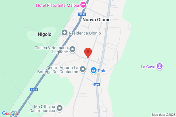 Agenzia Funebre Paggi - Onoranze Pompe Funebri - Casa Funeraria