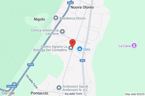 Fascendini Emilvio (Dr.)