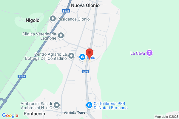 Gelmini Francesco