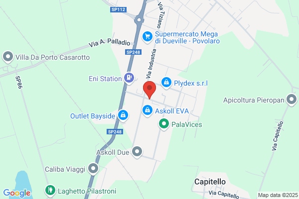 Viacar srl